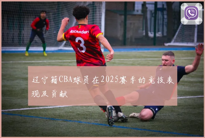 辽宁籍CBA球员在2025赛季的竞技表现及贡献