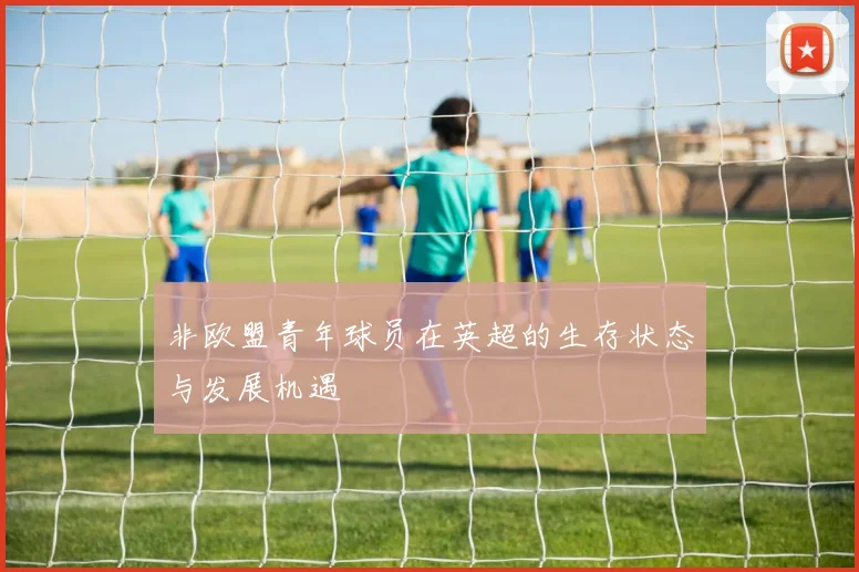 非欧盟青年球员在英超的生存状态与发展机遇
