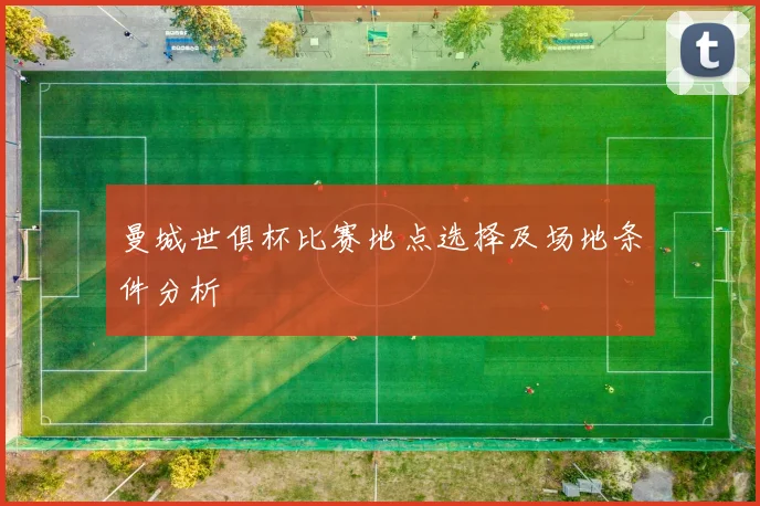 曼城世俱杯比赛地点选择及场地条件分析