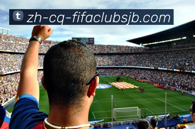 世界杯赛程服务体系