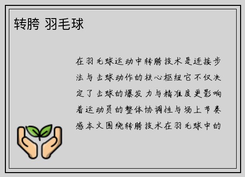 转胯 羽毛球
